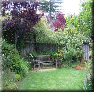 Back Yards