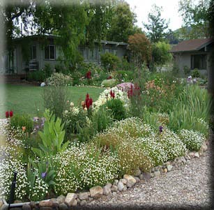 Shrub Borders